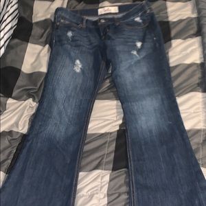 Hollister jeans